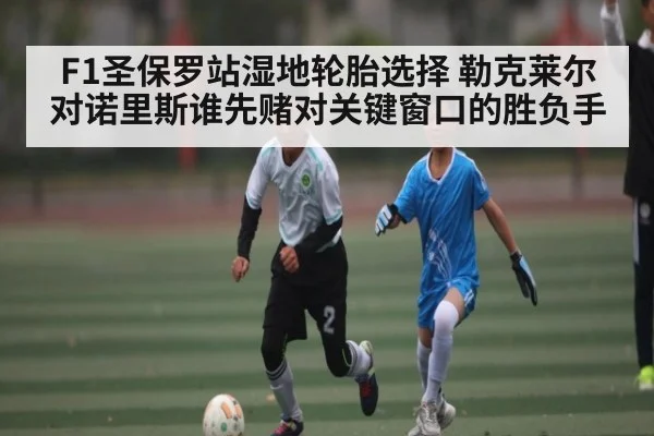 F1圣保罗站湿地轮胎选择 勒克莱尔对诺里斯谁先赌对关键窗口的胜负手（LEJING SPORTS）
